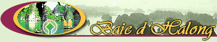 Title de Quang Ninh
